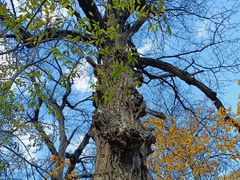-叠溪松坪沟景区