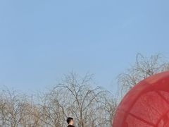 -荷兰花海