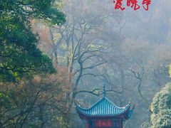 -岳麓山风景名胜区