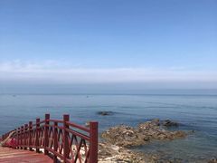 风景-海岛日记(养马岛店)