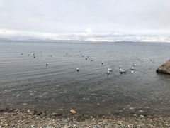 -青海湖国家重点风景名胜区