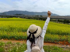 -光明小镇欢乐田园