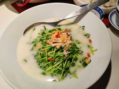 上汤豆苗-禄鼎记·多口味酸菜鱼(侨鑫店)