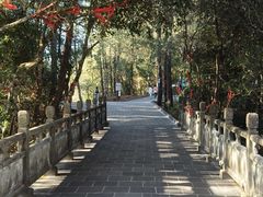 -腾冲云峰山