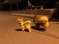 -长春公园(普阳街道)