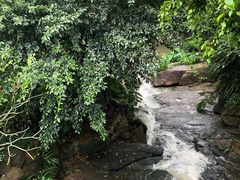 -天女山森林公园