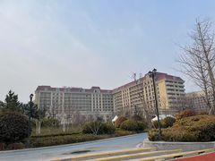 -星光岛