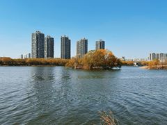 -长白岛森林公园