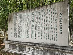 -宜兴龙背山森林公园