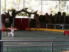 -泉州海丝野生动物世界