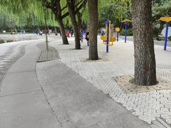 -团结湖公园