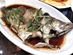 -光辉公鸡馆(事业小区店)