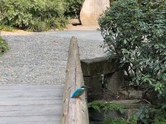 -成都杜甫草堂博物馆