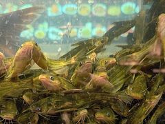 -龙宴海鲜城(经中路店)