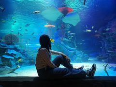 -沈阳海洋探索中心