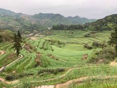 -水香园·中国徽菜名店(紫霞大道店)