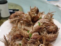 -金海湾海鲜排档(朱家尖店)