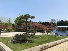 -嘉定紫藤园