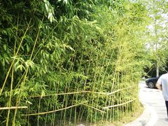 -北京园博大酒店