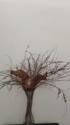 -无界瑜伽普拉提