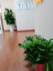 点击看大图 -Dr.林醫生产后修复·超级店(南京江宁同曦店)