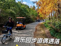 -上海海湾国家森林公园