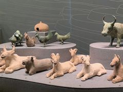 -广西壮族自治区博物馆