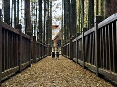 -山王坪喀斯特国家生态公园