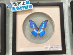 -深圳龙华星河COCO City(民治店)