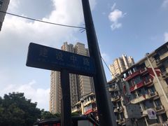 -树夏(建设路店)