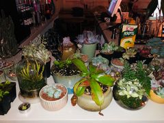 -平行世界·猫咖(首经贸店)