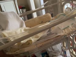 -菁幼月子会所(儿童医院店)