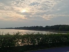 -贡湖湾湿地公园