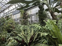 -国家植物园南园