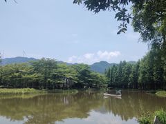 -森波拉奇妙世界