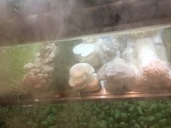 -鲜货俚鲜火锅(青果路店)