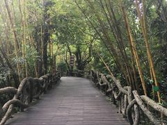-呀诺达热带雨林