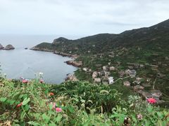-枸杞岛