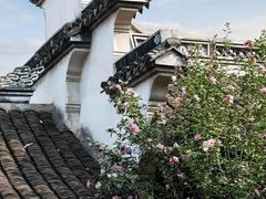 -乌镇景区