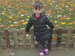 -白鹭湾湿地公园