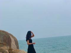 -广东惠东海龟国家级自然保护区