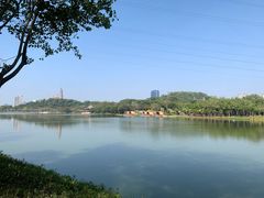 -顺峰山公园