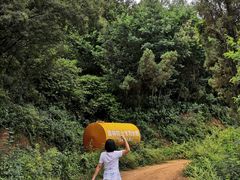 -长虫山生态公园风景林