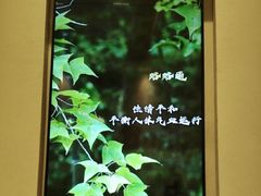 -泰合玺·精油疗愈 SPA(南京河西万达店)
