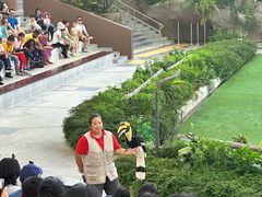 -新加坡飞禽公园