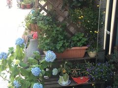 门面-伊斯坦布尔土耳其清真咖啡餐厅