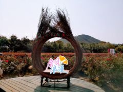 -亚龙湾国际玫瑰谷