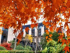 -上海崇明金茂凯悦酒店