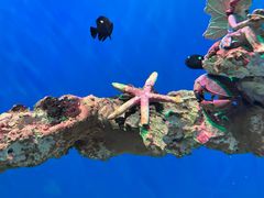 -海合安武汉极地海洋公园