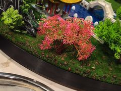 -大汗行宫园林餐厅